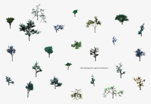 Hjm Small Trees Roots 1 Alpha 2 Mb [315 Download ] - Portable Network Graphics