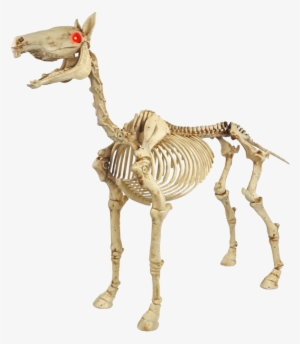 Skeleton Horse - Halloween The T Rex Skeleton