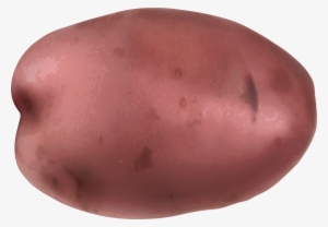 Red Potatoes Clipart Transparent