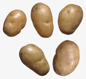 Potato Clipart Brown Potato - Potato Transparent Background Png