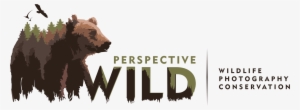 Perspective Wild - Wildlife Photography Logo Png