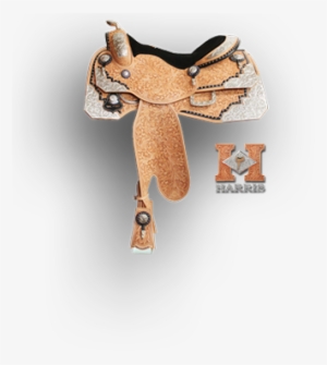 Scroll Down - Saddle