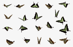 Butterflies Swarm Png File - Swarm Of Butterflies Png