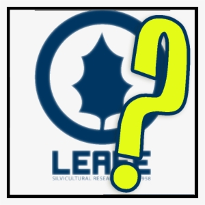 Leafe-logo - Key Frame