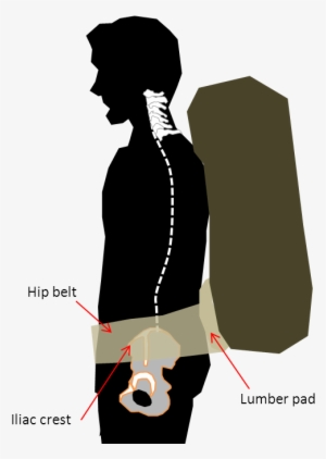 Hipbelt Fit - Pelvis