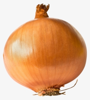 Onion Png Image