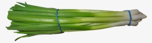 Green Onion Png Transparent