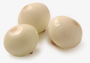 peeled white onions - peeled white onion