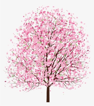 Simple Cherry Blossom Tree Drawing