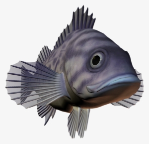 Ocean Fish Png Download - Deep Sea Creatures Png