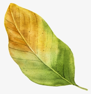 Yellow Autumn Leaf Vector - Autumn
