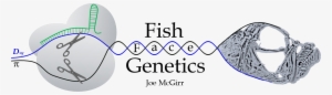 Fish Face Genetics - Genetics