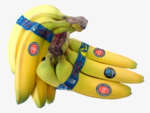Equifruit Is The Canadian Market Leader In Fairtrade - Equifruit Bananas