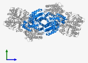 <div Class='caption-body'>pdb Entry 1g20 Contains 2 - Protein Data Bank
