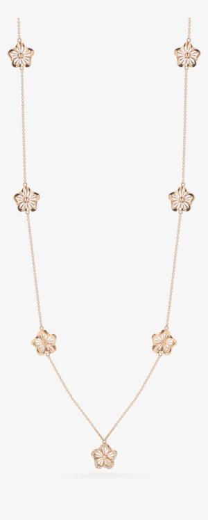 Roberto Coin Necklace - Transparent Rose Gold Necklace