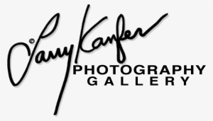 Larry Kanfer Photography Gallery - Png Logo Photography Hd White