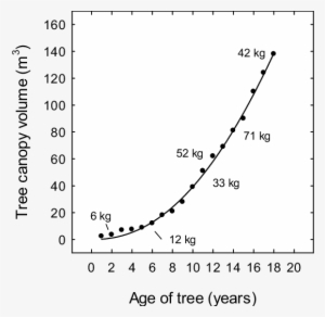 Changes In Tree Canopy Volume In 'alphonso' Mango Grown - Diagram