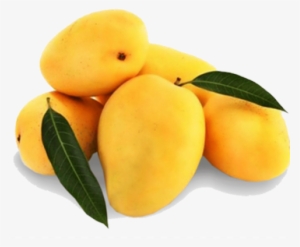 Buy Fresh Mango Gurgaon - Mango Pakistani