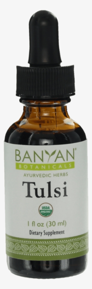 2621 Tulsi Org Xlarge - Banyan Botanicals - Organic Triphala Liquid Extract