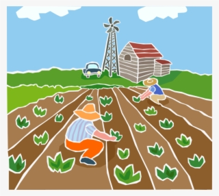Farmers Planting Crops Royalty Free Vector Clip Art - Agricultura Vetor Png