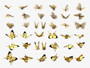 Butterflies, Butterfly, Swarm, Insect - Lepidoptera