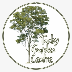 Tanby Garden Centre The Capricorn Coast Nursery And - Tanby Garden Centre