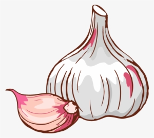 Knoblauch - Chuck Knoblauch