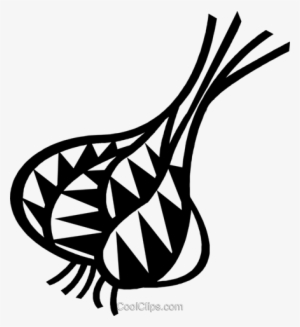 onions royalty free vector clip art illustration - line art
