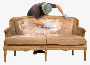 Sofa Dry Cleaning In Progress By A Young Professional - Sofa Dry Cleaning