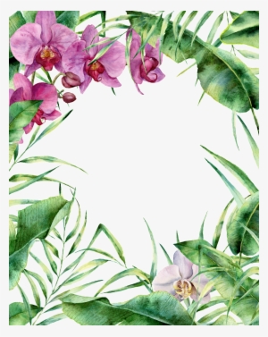 Hand Painted Simple Fresh Flowers And Plants Decorative - Free Tropical Floral Border