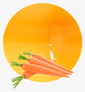Our Juice Has A Sweet Flavour Of Concentrated Carrots - Just Dont Carrot At All