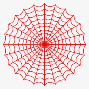 Spider Webs Vector Png