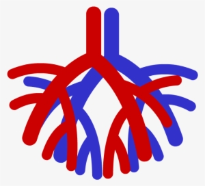 Circulatory System Icon