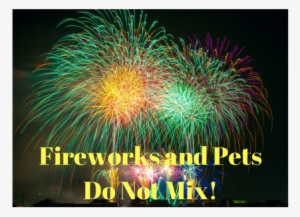Aspca Fireworks And Lost Dogs Fireworks And Dogs Are - Class Of 2017 Journal (journals, Diary, Notebook)