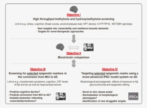 Schematic Overview Of Translational Study Design - Research Question And Hypothesis