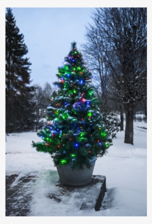 Christmas Tree Light Serie Led - Light-emitting Diode