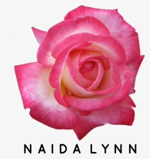 Naida Lynn Logo - Diy Essential Oil Perfume Spray