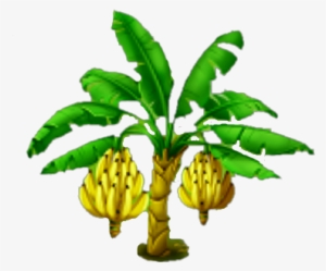 Banana Tree Images Png