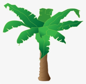 Real Palm Tree Png Tree Tumblr Png Banana Tree Png - Plantas De Banano Dibujo