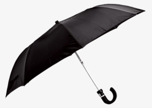 Main - Folding Umbrella
