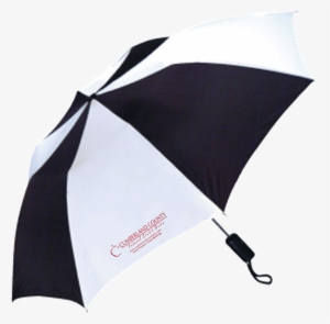 For The Rainy Days When You're A Hurry Grab This Push-button - Umbrella