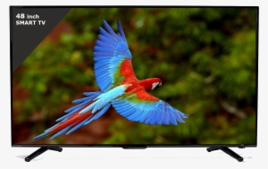 Esaplling 55inch Tv, Esaplling 48smart Tv - Birds In The Emergent Layer
