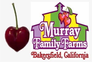 Cherrylogocomparison - Murray Family Farms Transparent PNG - 605x409 ...