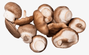 Button Mushrooms - Mushroom
