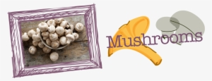 A Mushroom Is The Fleshy, Spore-bearing Fruiting Body - Jackson & Perkins Button Mushroom-growing Kit