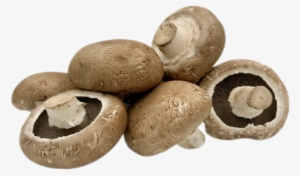 Portabellini Mushrooms - Portobellini Mushrooms