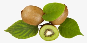 Kiwifruit Extract Contains Around 60% Of Alpha-linolenic - Kiwifruit