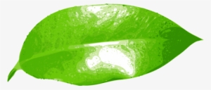 Vector Graphics - Png Leaf Paint