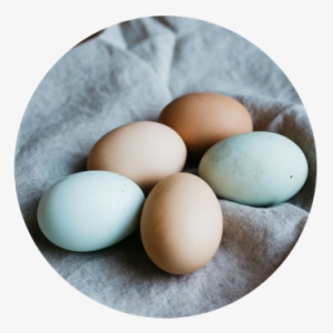 Eggs-product - Egg