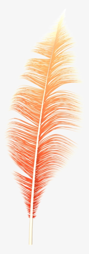 Dream Feather Png - Portable Network Graphics